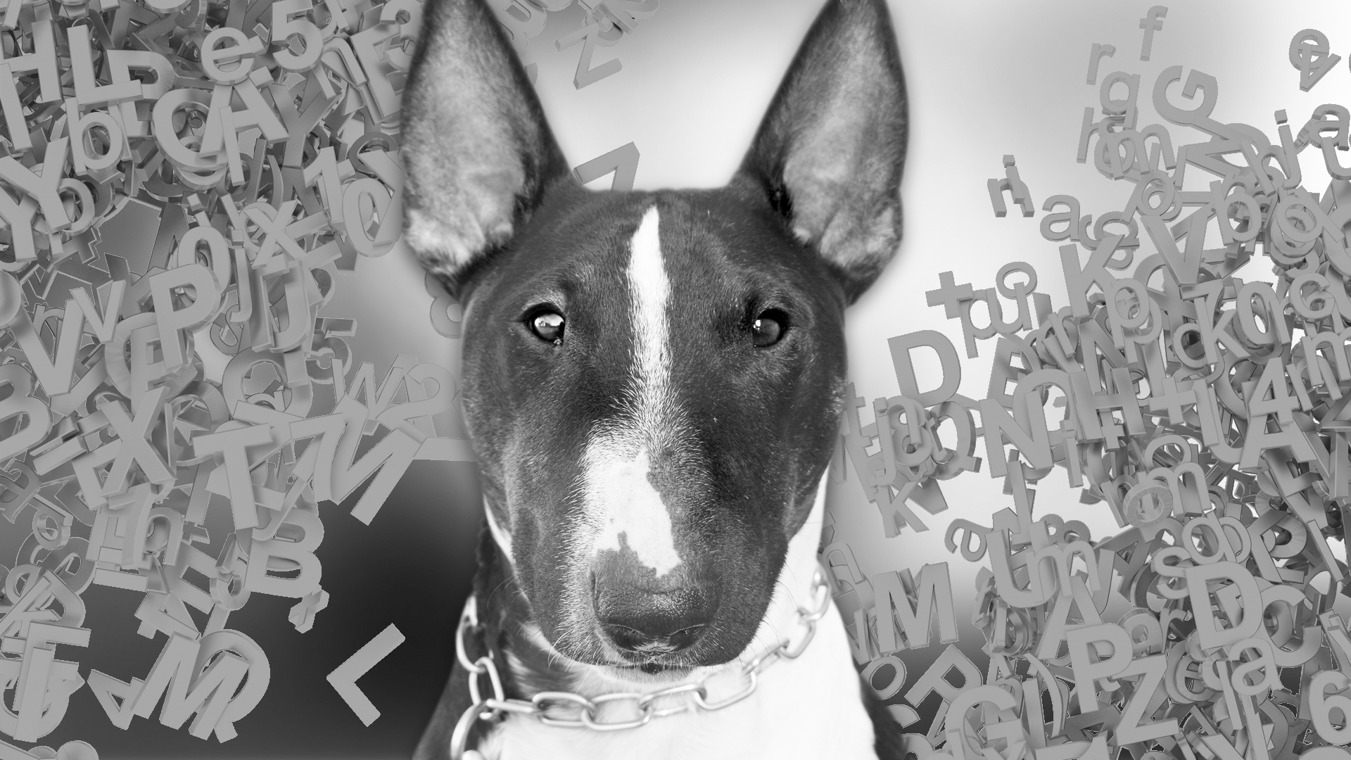 New Lecturer Meeting