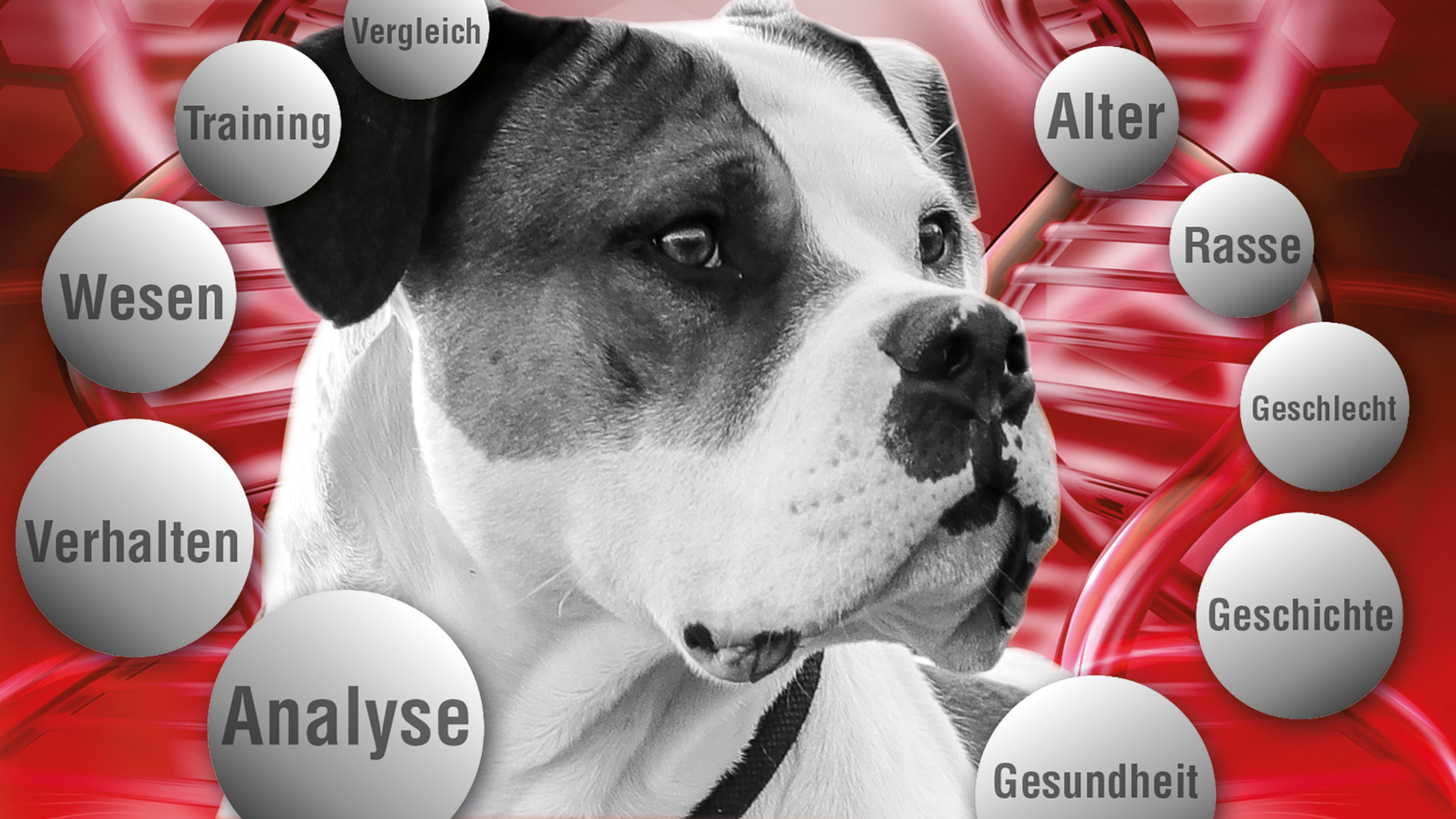 New Lecturer Meeting