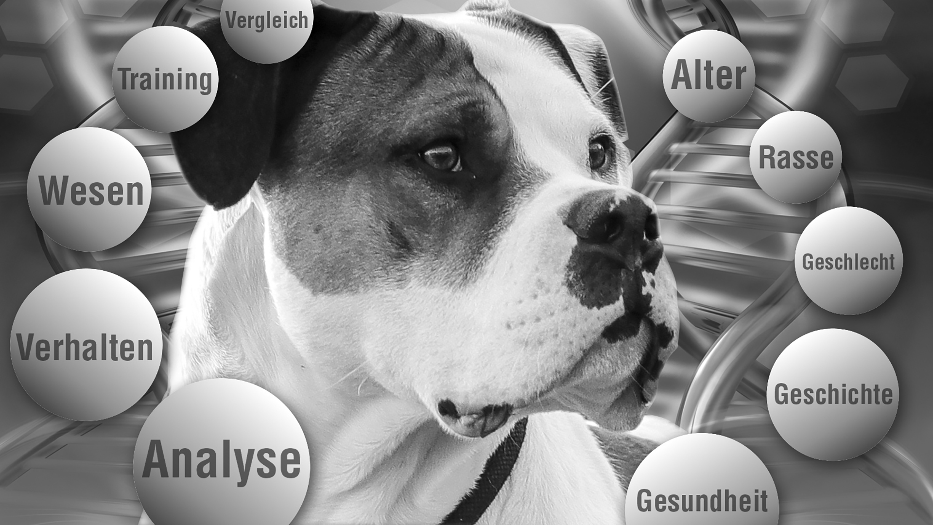 New Lecturer Meeting