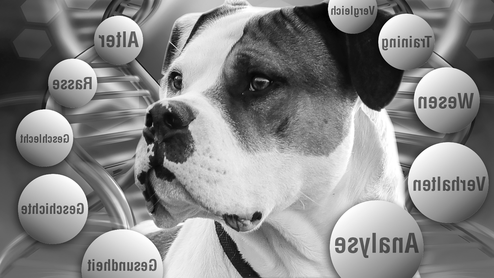 New Lecturer Meeting