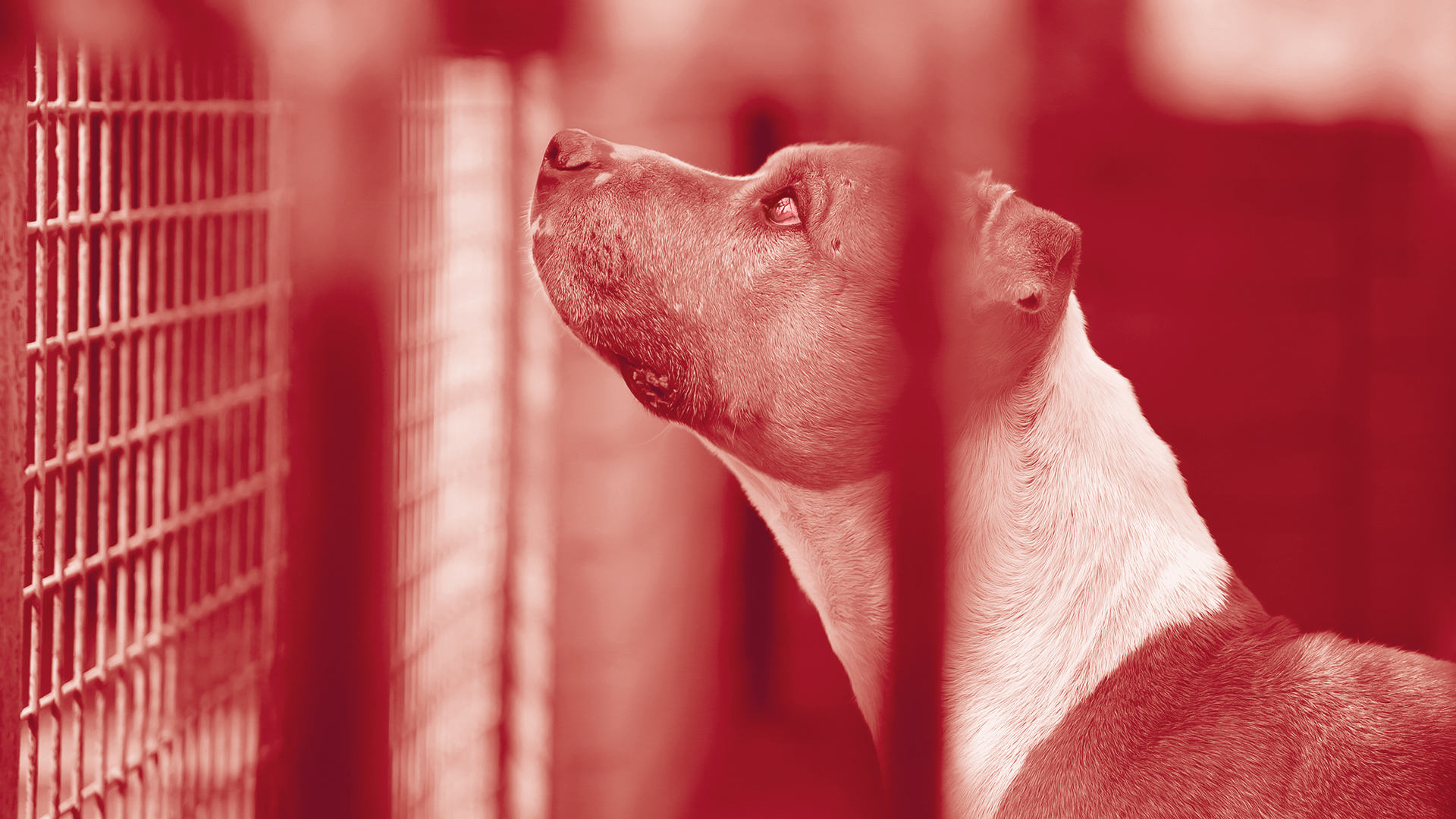 New Lecturer Meeting