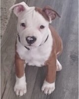 New Lecturer Meeting