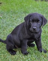 New Lecturer Meeting