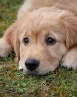 New Lecturer Meeting